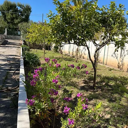 Nella Bisceglie