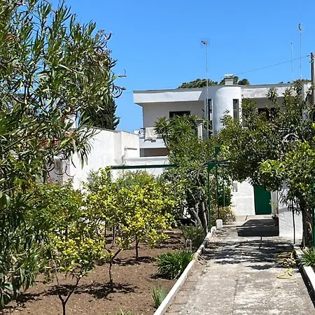 Nella Villa *