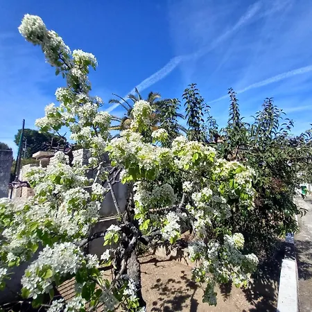Nella Villa