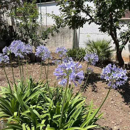 Nella * Bisceglie